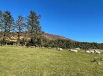 Photo 11 of Monalour, Lismore