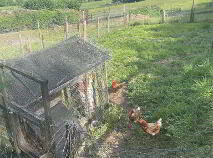 Photo 6 of Colligan, Dungarvan