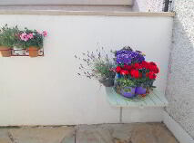 Photo 20 of Doylesfort Road, Dundalk