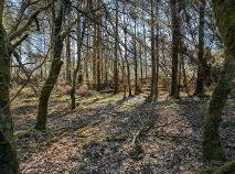 Photo 19 of Corlough Td., Corlough