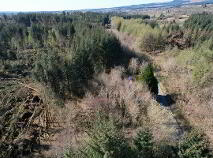 Photo 22 of Corlough Td., Corlough