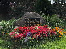 Photo 13 of Sheskin, Stradbally