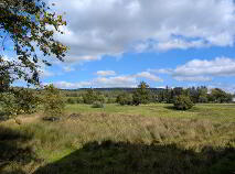 Photo 30 of 8 The Lawn, Bawnboy