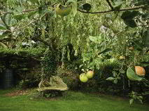 Photo 20 of FUCHSIA HOUSE, Carrigeen, Baltinglass