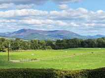 Photo 19 of FUCHSIA HOUSE, Carrigeen, Baltinglass