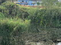 Photo 7 of Scruffy Duffy's, Mill Street, Callan