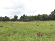 Photo 20 of Hopesgate Cottage, Derryvale, Roscrea