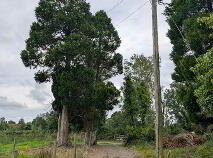 Photo 9 of Cornaferst, Carrigallen