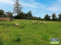 Photo 11 of Ballyard, Newport