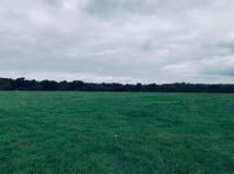 Photo 4 of 22.23 Ha Mea Or 54.93 Acres ( 60 Acres Per Folio), Millbrook, Ballinacl...Nenagh