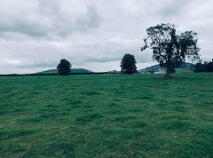Photo 2 of 22.23 Ha Mea Or 54.93 Acres ( 60 Acres Per Folio), Millbrook, Ballinacl...Nenagh