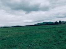 Photo 7 of 22.23 Ha Mea Or 54.93 Acres ( 60 Acres Per Folio), Millbrook, Ballinacl...Nenagh