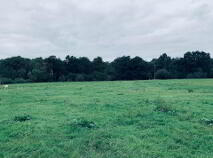 Photo 6 of 22.23 Ha Mea Or 54.93 Acres ( 60 Acres Per Folio), Millbrook, Ballinacl...Nenagh