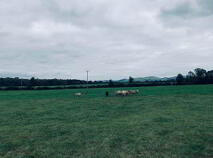 Photo 12 of 22.23 Ha Mea Or 54.93 Acres ( 60 Acres Per Folio), Millbrook, Ballinacl...Nenagh