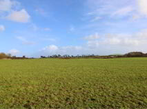 Photo 3 of 53.62 Acres Coolderry, Ardcroney, Nenagh