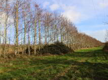 Photo 4 of 53.62 Acres Coolderry, Ardcroney, Nenagh