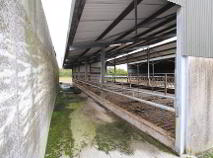 Photo 10 of 3, Killeen, Borrisokane, Nenagh