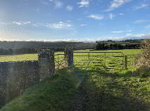 Photo 6 of Circa 13.5 Acres At, Garrinch, Jesuits Walk, Fethard