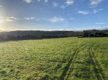 Photo 4 of Circa 13.5 Acres At, Garrinch, Jesuits Walk, Fethard