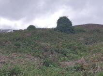 Photo 7 of Downings, Gortnalughoge, Letterkenny