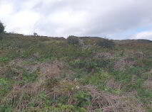 Photo 4 of Downings, Gortnalughoge, Letterkenny