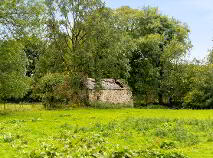 Photo 46 of Talbotstown Fort, Kiltegan