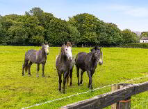 Photo 49 of Talbotstown Fort, Kiltegan