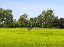 Photo 46 of Talbotstown Fort, Kiltegan