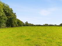 Photo 48 of Talbotstown Fort, Kiltegan