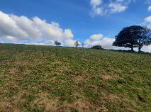 Photo 50 of Larkhill, Ballymote