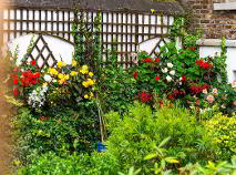 Photo 19 of 1 Stamer Street, Portobello, Dublin