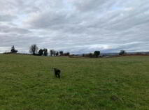 Photo 7 of 52 Acres (, 21 Ha), Aughinish, Ogonnelloe, County Clare
