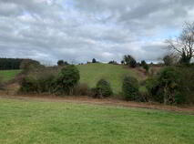 Photo 8 of 52 Acres (, 21 Ha), Aughinish, Ogonnelloe, County Clare