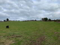 Photo 5 of 52 Acres (, 21 Ha), Aughinish, Ogonnelloe, County Clare