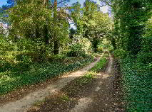 Photo 15 of Knockgrange House, Knockstown, Kilmessan