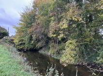 Photo 6 of C. 1.74 Ha, Milltown, Shinrone
