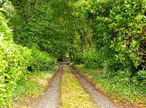 Photo 32 of Coolmanagh, Hacketstown