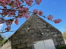 Photo 43 of Coolmanagh, Hacketstown