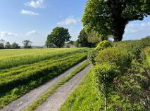 Photo 44 of Coolmanagh, Hacketstown