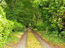 Photo 45 of Coolmanagh, Hacketstown