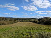 Photo 11 of Tullytrasna Td.,, Corlough
