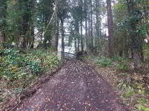 Photo 47 of Drummartin House, Drummartin, Aclare, Tubbercurry