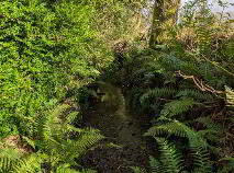 Photo 31 of Gurteen, Corriga, Carrigallen