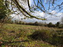 Photo 32 of Gurteen, Corriga, Carrigallen