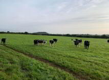 Photo 4 of 15.16 Ha Or 37.46 Acres, Ardcroney, Killea, Nenagh