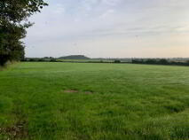 Photo 2 of 15.16 Ha Or 37.46 Acres, Ardcroney, Killea, Nenagh