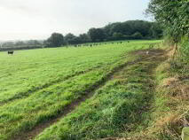 Photo 5 of 15.16 Ha Or 37.46 Acres, Ardcroney, Killea, Nenagh