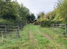 Photo 6 of 15.16 Ha Or 37.46 Acres, Ardcroney, Killea, Nenagh