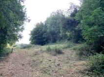 Photo 10 of 15.16 Ha Or 37.46 Acres, Ardcroney, Killea, Nenagh