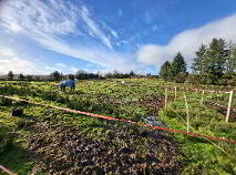 Photo 14 of Sessuecommon, Cloonacool, Tubbercurry